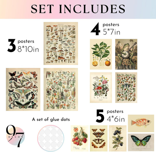 97 Decor Cottagecore Wall Art Set, 12 Pcs Vintage Botanical Prints