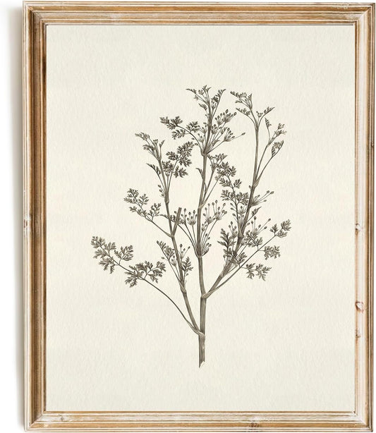 SWZHHYL Vintage Flower Wall Art, Neutral Botanical Canvas Print, Rustic Floral Drawing Minimalist Art Print Pictures for Farmhouse Bedroom Living Room Office Home Wall Decor - 8x10inch Unframed