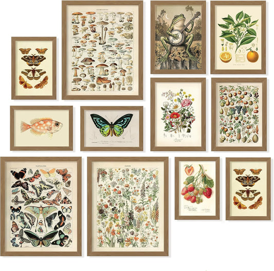 97 Decor Cottagecore Wall Art Set, 12 Pcs Vintage Botanical Prints